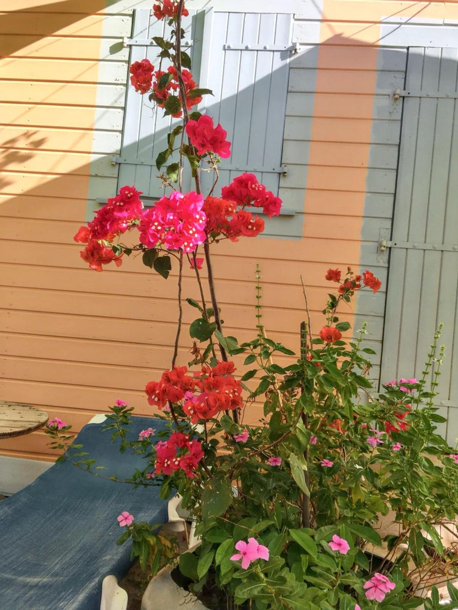 לה קברה Appartement Cosy Au Carbet Avec Balcon Et Vue Sur Mer 70 M² מראה חיצוני תמונה